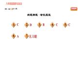 人教版八年级下册道德与法治习题课件 第四单元 第8课 第2课时 公平正义的守护