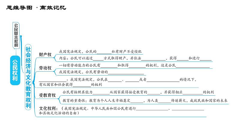 人教版八年级下册道德与法治习题课件 第二单元 第3课 综合复习05