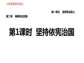 人教版八年级下册道德与法治习题课件 第一单元 第2课 第1课时 坚持依宪治国2