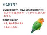 2.1 学习伴成长 课件(含素材)