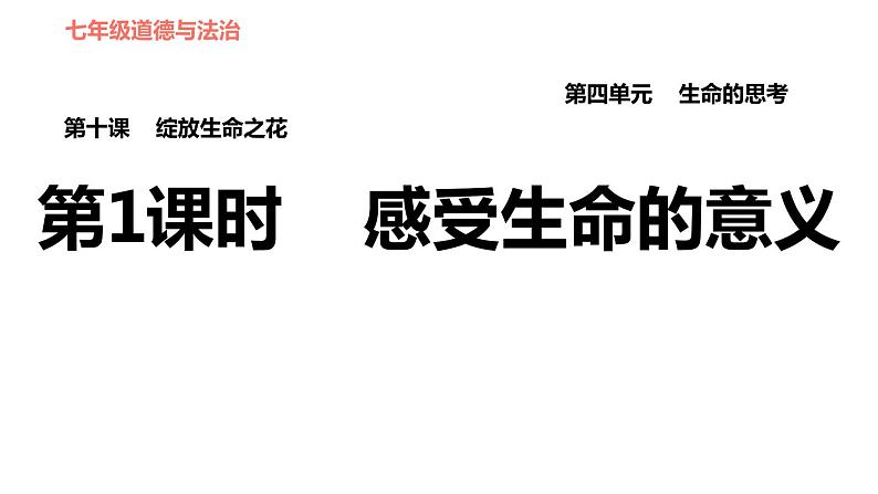 人教版七年级上册道德与法治 第4单元 习题课件01