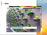 人教版九年级上册道德与法治第一单元 2.1创新改变生活 课件