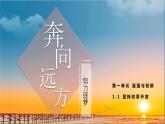 人教版九年级上册道德与法治第一单元 1.1坚持改革开放 课件