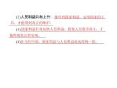人教版八年级上册道德与法治 第四单元 维护国家利益 总结课件