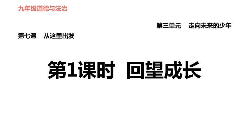 人教版（河北专版）九年级下册道德与法治 第3单元 习题课件01