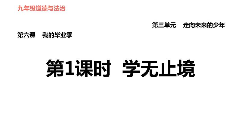 人教版（河北专版）九年级下册道德与法治 第3单元 习题课件01