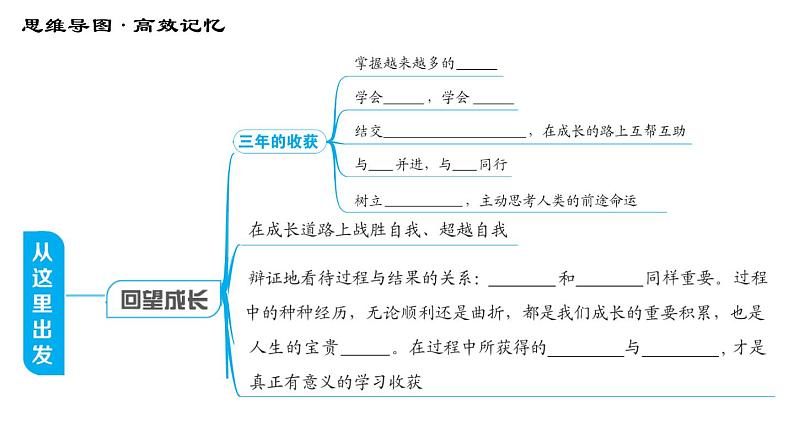 人教版（河北专版）九年级下册道德与法治 第3单元 习题课件03