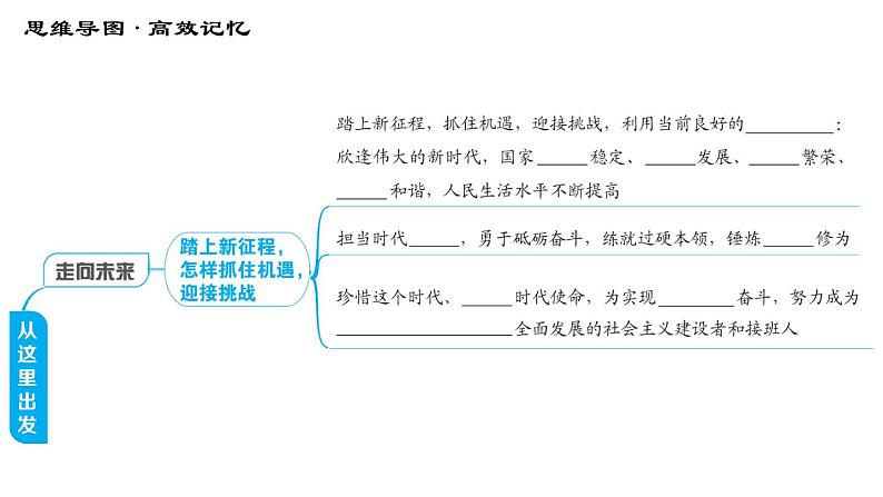 人教版（河北专版）九年级下册道德与法治 第3单元 习题课件06