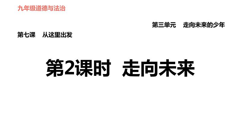 人教版（河北专版）九年级下册道德与法治 第3单元 习题课件01