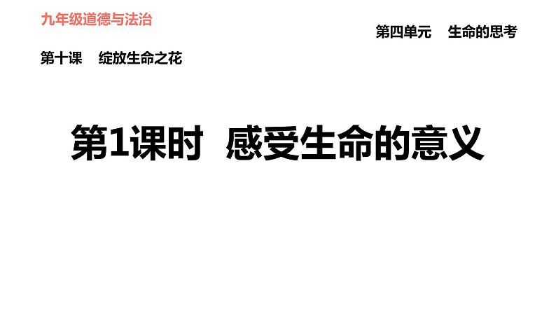 人教版七年级上册道德与法治 第四单元 习题课件01