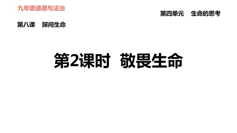 人教版七年级上册道德与法治 第四单元 习题课件01