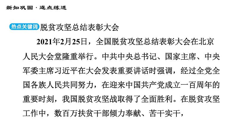 人教版八年级上册道德与法治习题课件 期末专题集训 专题一　走进社会生活，正确认识网络第3页