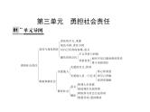 人教版八年级上册道德与法治 第三单元  勇担社会责任 总结课件