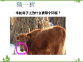 二 协调推进“四个全面”战略布局 PPT教学课件