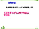 二 协调推进“四个全面”战略布局 PPT教学课件