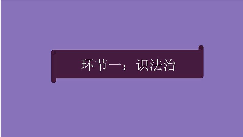 人教部编版九年级上册（道德与法治） 第二单元 4.1 夯实法治基础课件PPT04