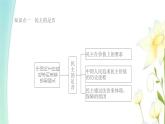 九年级道德与法治上册第三课追求民主价值第1框生活在新型民主国家课件