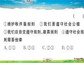 道德与法治（人教版）-八年级上册作业课件-2.第二单元-10.第二单元热点专题