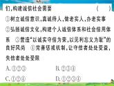 道德与法治（人教版）-八年级上册作业课件-2.第二单元-10.第二单元热点专题