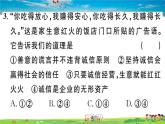 道德与法治（人教版）-八年级上册作业课件-2.第二单元-5.第四课第3框