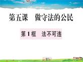道德与法治（人教版）-八年级上册作业课件-2.第二单元-6.第五课第1框
