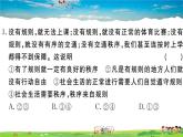 道德与法治（人教版）-八年级上册作业课件-试卷-2.第二单元检测卷