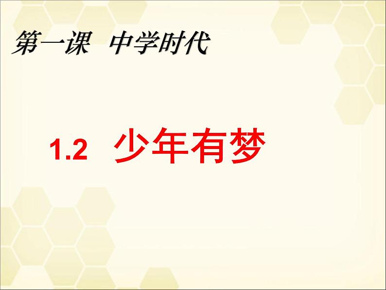 人教部编版七年级上册道德与法治1.2少年有梦课件02