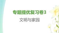 九年级道德与法治上册专题提优复习卷3课件