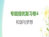 九年級道德與法治上冊專題提優(yōu)復習卷4課件