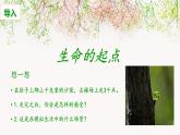 七年级道德与法治上册教学课件-10.1感受生命的意义3-部编版