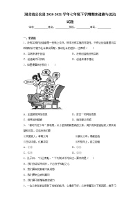 湖北省公安县2020-2021学年七年级下学期期末道德与法治试题 (word版含答案)