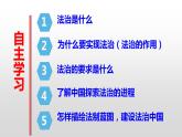 部编版九年级道德与法制上册-4.1夯实法治基础课件PPT