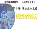 人教部编版七年级上册道德与法治第十课 感受生命的意义课件