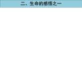 人教部编版七年级上册道德与法治第十课 感受生命的意义课件