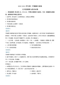 河南省洛阳市偃师市2020-2021学年七年级上学期期中政治试题（含答案）