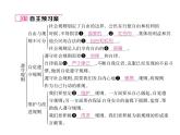 部编版八年级道德与法治上册同步作业课件：第3课 社会生活离不开规则 第2课时 (共23张PPT)
