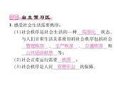 部编版八年级道德与法治上册同步作业课件：第三课 社会生活离不开规则 第1课时 维护秩序 (共18张PPT)