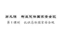 初中政治思品人教部编版八年级上册（道德与法治）第四单元 维护国家利益第九课 树立总体国家安全观认识总体国家安全观作业ppt课件