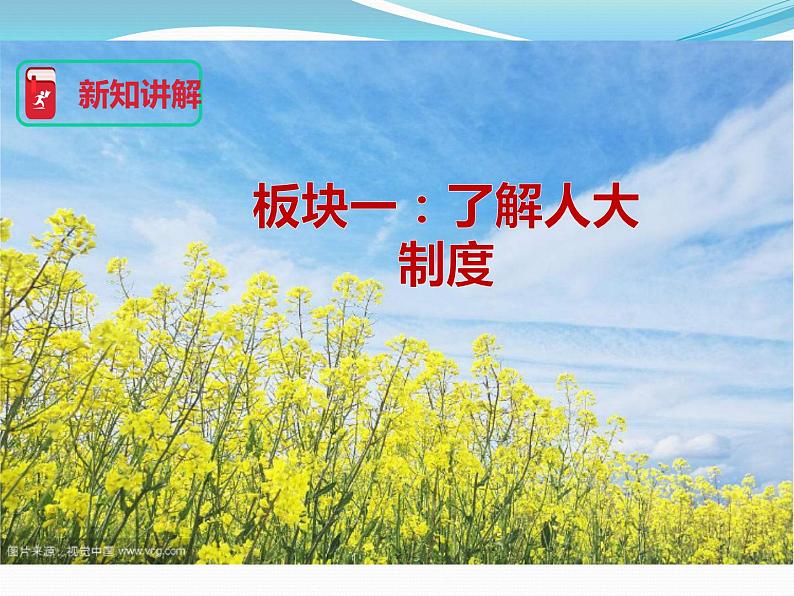 部编版《道德与法治》八年级下册：5.2 根本政治制度 课件 (共44张PPT)第6页