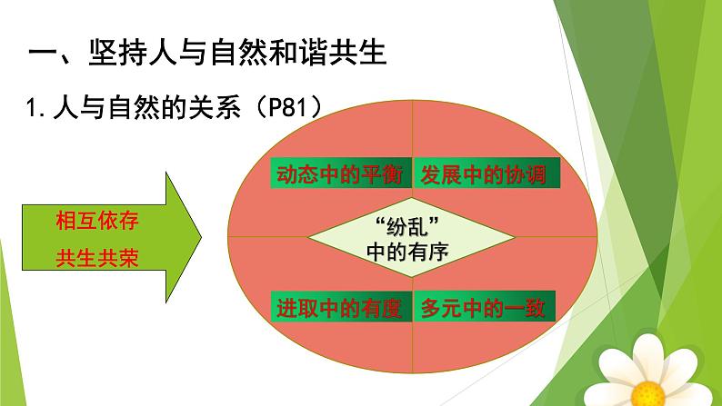 6.2共筑生命家园课件PPT05