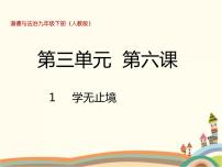 初中政治思品人教部编版九年级下册（道德与法治）学无止境优质ppt课件