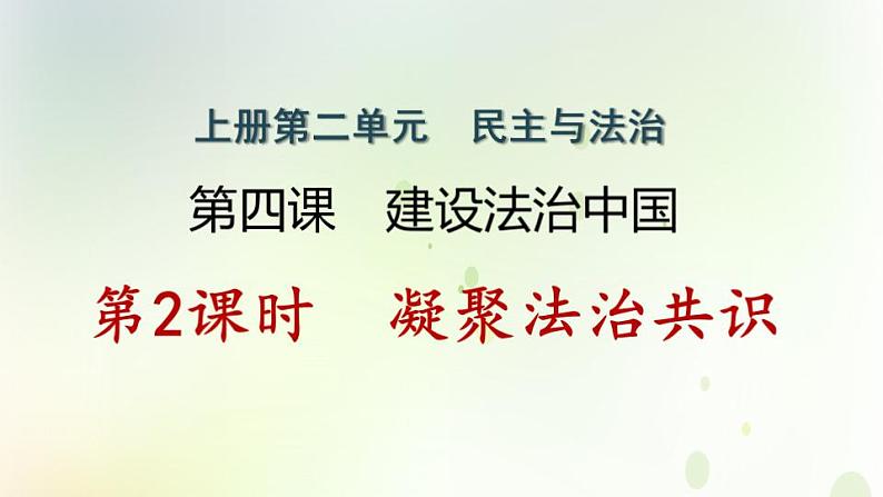 江西专版秋学期九年级道德与法治上册第二单元民主与法治4.2凝聚法治共识作业课件新人教版第1页