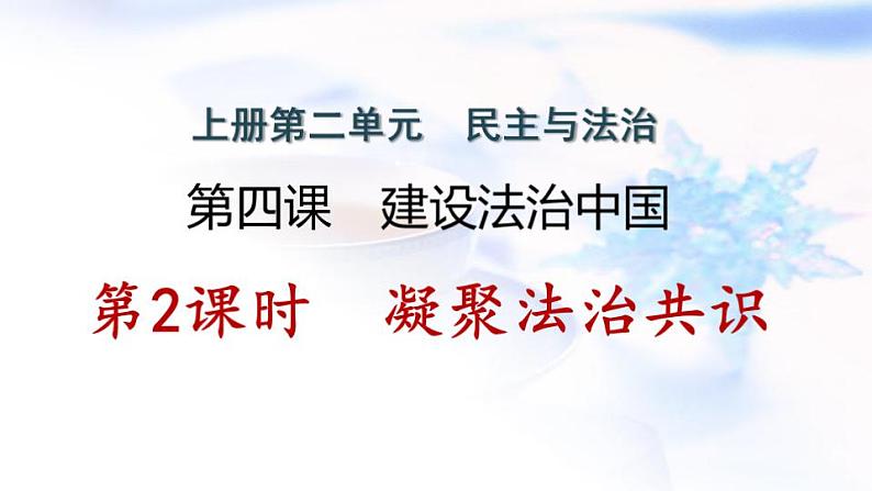 安徽专版秋学期九年级道德与法治上册第二单元民主与法治4.2凝聚法治共识作业课件新人教版第1页