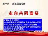 人教版九年级道德与法治上册1.2走向共同富裕课件