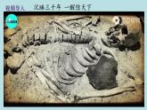 部编版九年级上册道德与法治 5.1延续文化血脉课件PPT