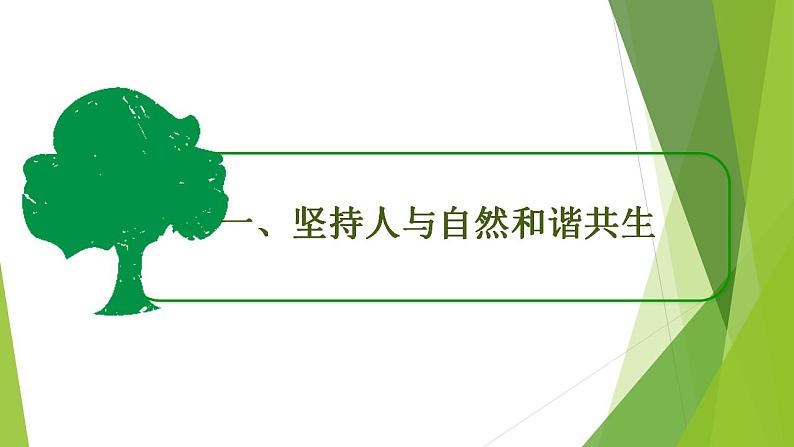 2021-2022学年部编版道德与法治九年级上册 6.2 共筑生命家园   课件（22张PPT）第2页