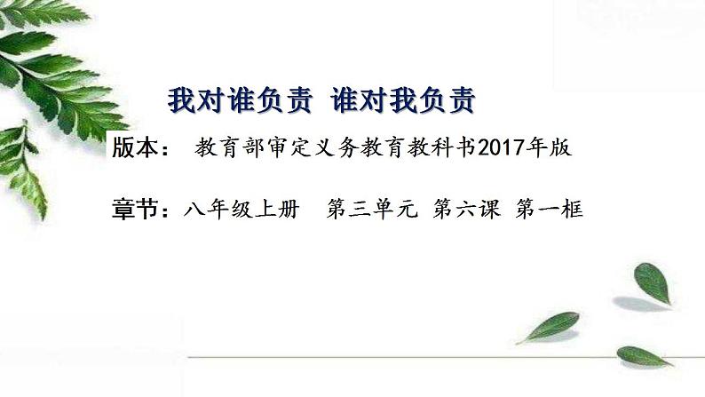 部编版初中道德与法治八年级上册 6.1我对谁负责 谁对我负责课件第1页