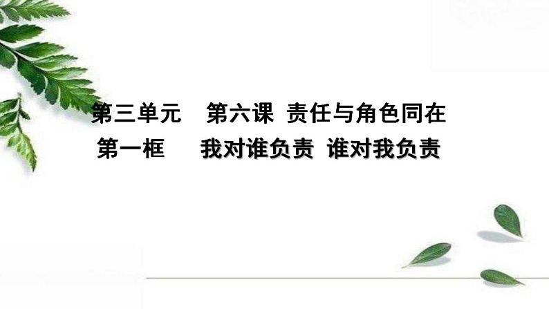 部编版初中道德与法治八年级上册 6.1我对谁负责 谁对我负责课件第2页