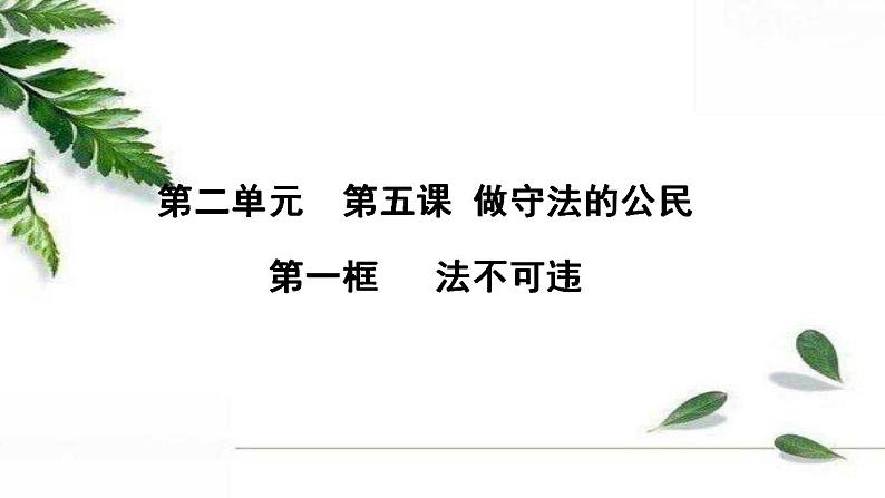 部编版八年级上册道德与法治第2单元 5.1法不可违课件02