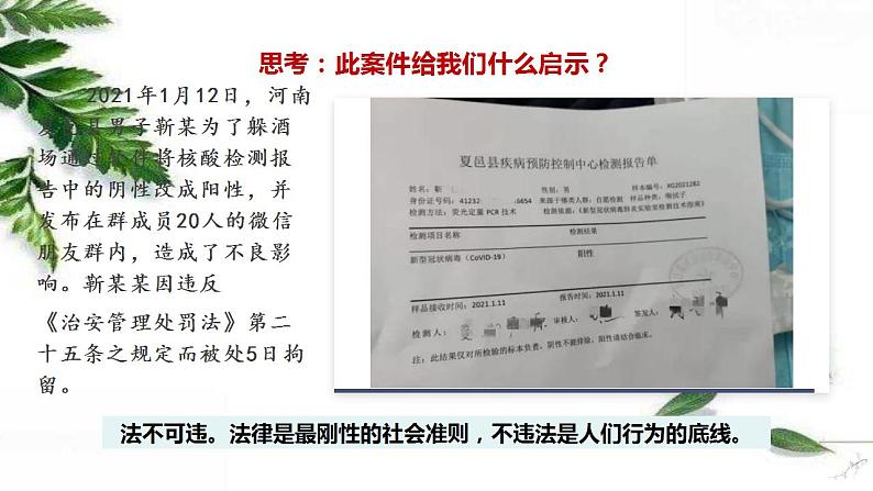 部编版八年级上册道德与法治第2单元 5.1法不可违课件04